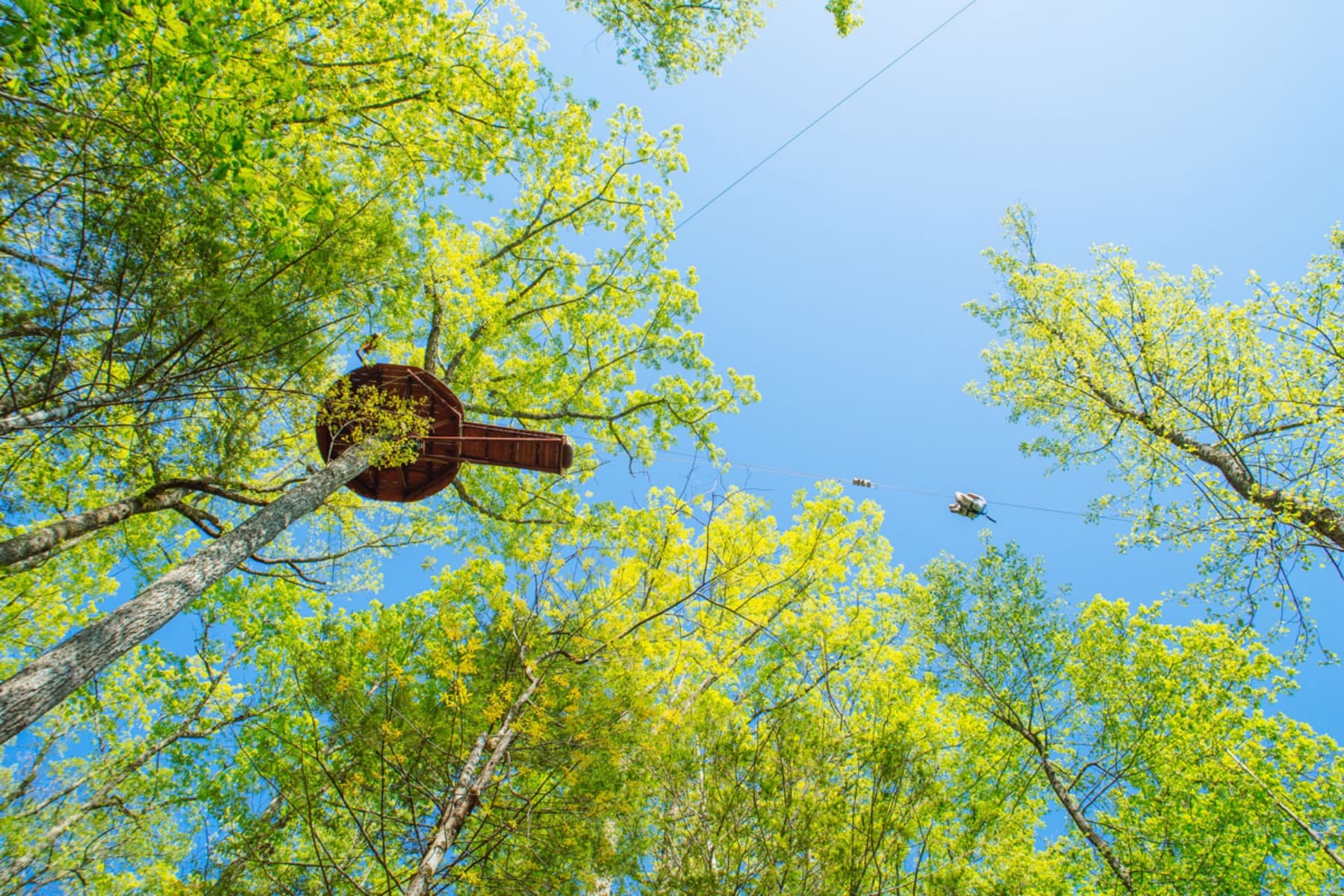A rider on a zipline wearing a chest harness, seen from below